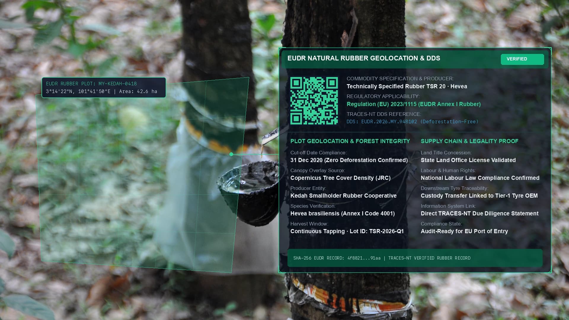 EUDR natural rubber traceability, plantation polygon mapping and TSR batch processing